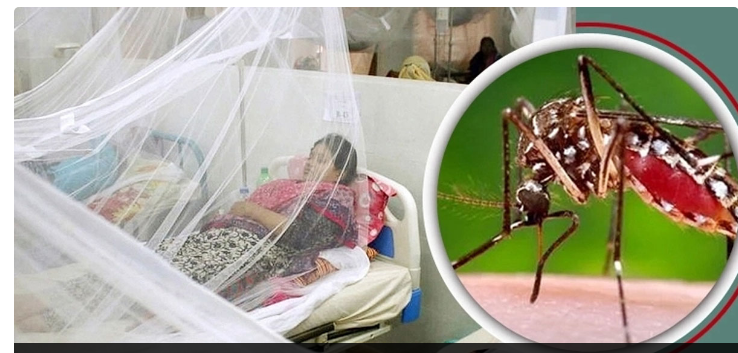 ডেঙ্গুতে আরও একজনের মৃত্যু, হাসপাতালে ২২০