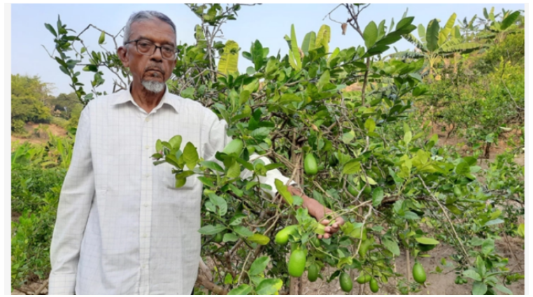 পাহাড়ের ৮০ একর জমিতে মিশ্র ফসল চাষে সফল তিনি