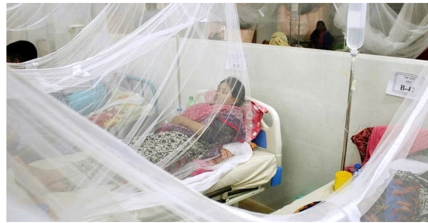 আরও ১১৩ ডেঙ্গুরোগী হাসপাতালে ভর্তি