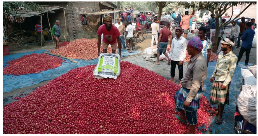 হিলিতে আলুচাষে কৃষকের মুখে হাসি নেই