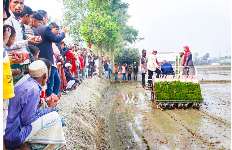 আগ্রহ বাড়ছে মেশিনে ধান লাগানো