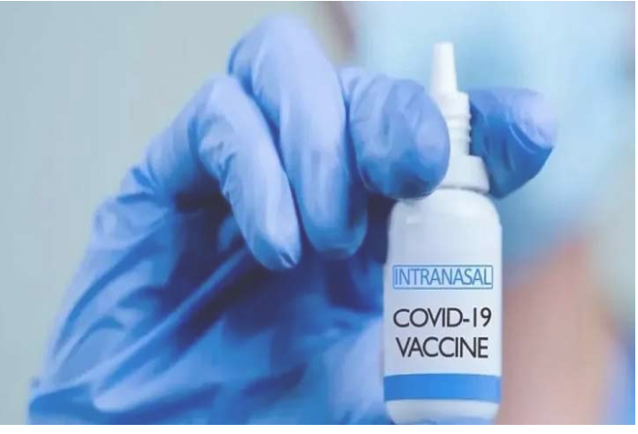 বিশ্বের প্রথম নাকে দেওয়া করোনা টিকা চালু ভারতে