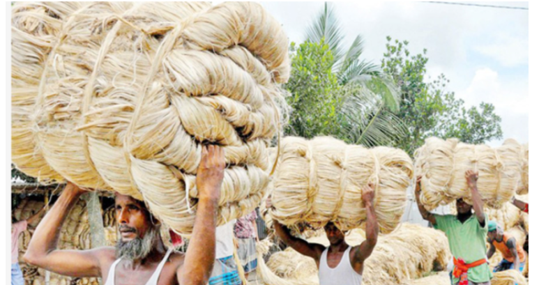 পাটকে কৃষিপণ্য ঘোষণা করে গেজেট প্রকাশ