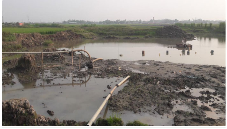 সরাইলের আকাশি বিল মাটি খেঁকোদের অভয়ারণ্যে পরিণত