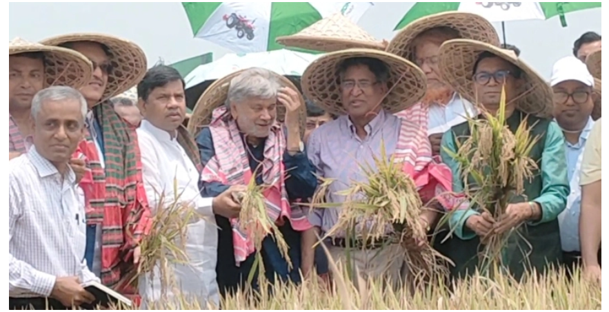 একসঙ্গে ধান কাটলেন তিন মন্ত্রী
