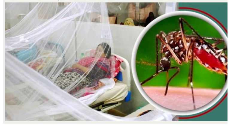 ডেঙ্গুতে আরও একজনের মৃত্যু, হাসপাতালে ভর্তি ১৯