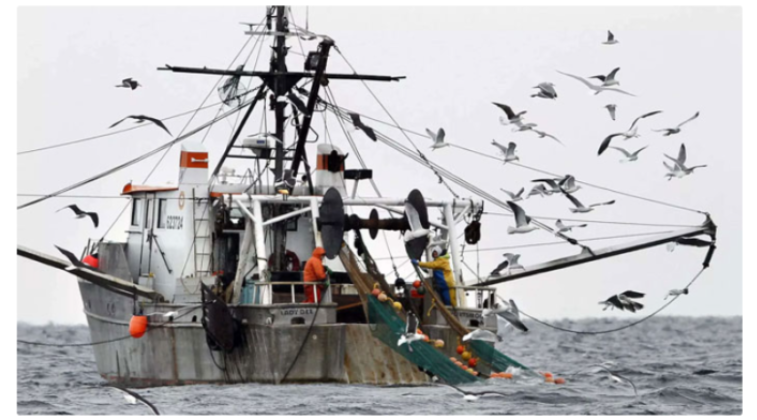 ভারত মহাসাগরে চীনের জাহাজ ডুবি, নিখোঁজ ৩৯