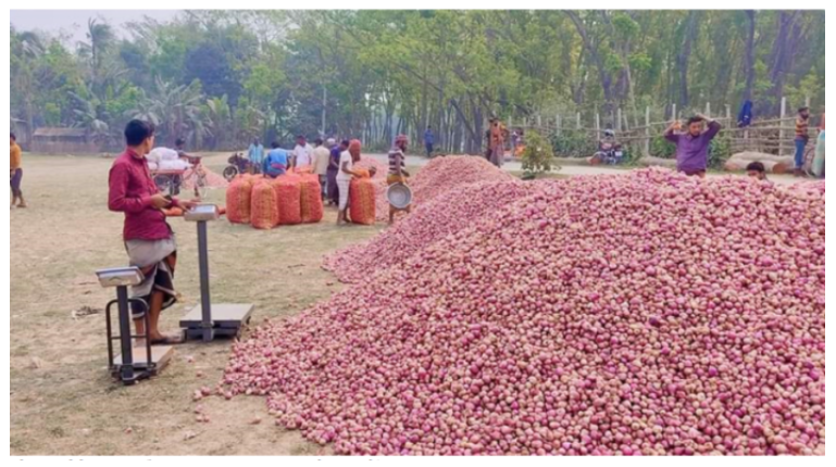 ফরিদপুরে পেঁয়াজের দাম কেজিতে কমলো ২৫ টাকা