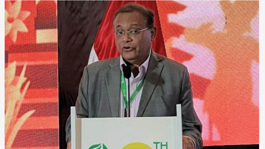 ‘দায়িত্বশীল গণমাধ্যম উন্নয়ন সহায়ক ও গণতন্ত্রে অপরিহার্য’
