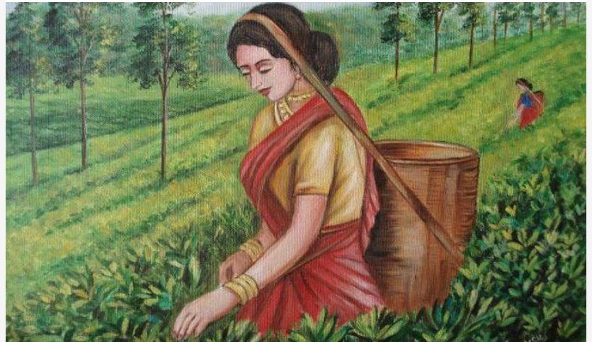 ৪ জুন জাতীয় চা দিবস: স্বীকৃতি পাচ্ছেন আট ব্যক্তি ও প্রতিষ্ঠান