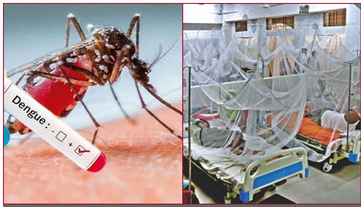ডেঙ্গুতে একদিনে ৩ মৃত্যু, হাসপাতালে ভর্তি ৯৭