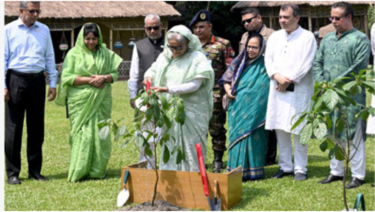 জাতীয় বৃক্ষরোপণ কর্মসূচি উদ্বোধন করলেন প্রধানমন্ত্রী