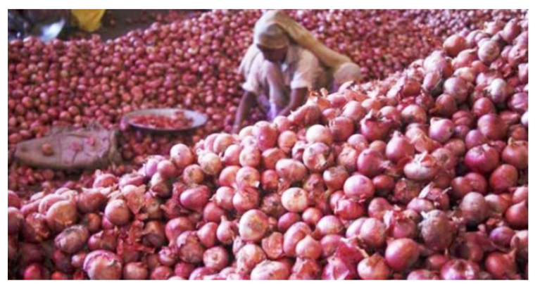 আমদানির ঘোষণায় একদিনে পেঁয়াজের দাম কমলো ২৫ টাকা