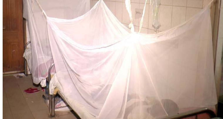 ডেঙ্গুতে আরও দুজনের মৃত্যু, হাসপাতালে ১৩৪ রোগী