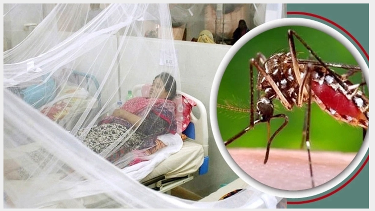 ডেঙ্গুতে আজও দুইজনের মৃত্যু, হাসপাতালে ভর্তি ১৮০