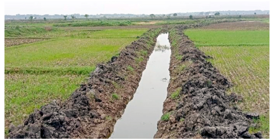 দূত-পাতাল বিলে খাল খননে প্রাণ ফিরেছে ৩০০ বিঘা পতিত জমির