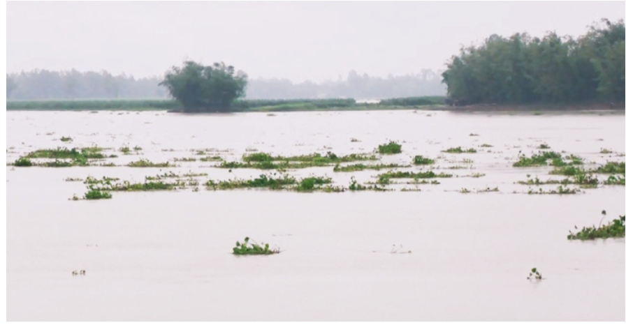 কুড়িগ্রামে নদ-নদীর পানি বাড়ছে