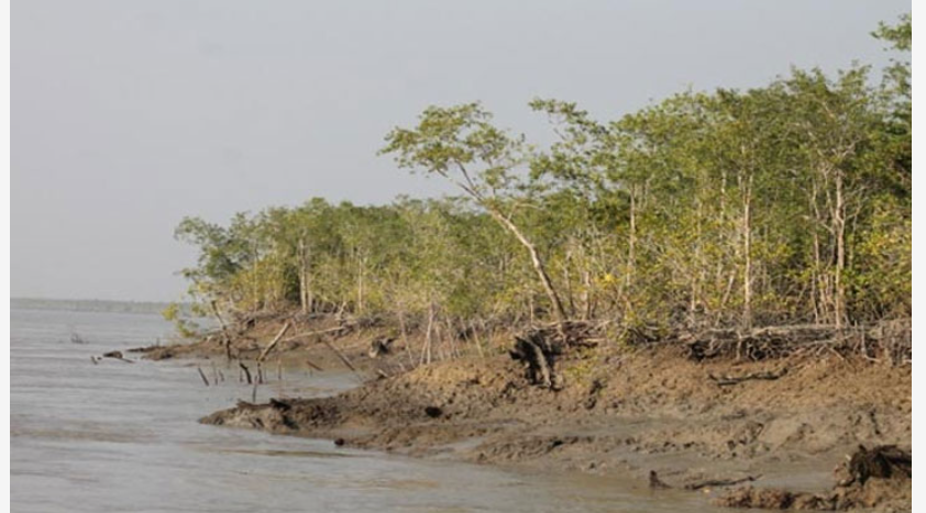 ‘বাংলাদেশের উপকূলীয় অঞ্চলের ১৭.৯৫ শতাংশ পর্যন্ত তলিয়ে যাবে’