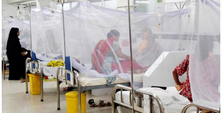 ডেঙ্গুতে আরও ৯ জনের মৃত্যু, ঢাকার বাইরে বেড়েছে ভর্তি