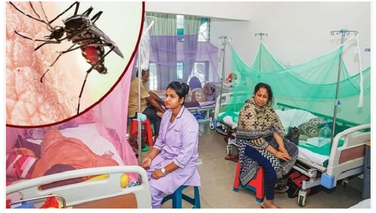 ডেঙ্গুতে ১১ জনের মৃত্যু, হাসপাতালে ভর্তি ২২৪২