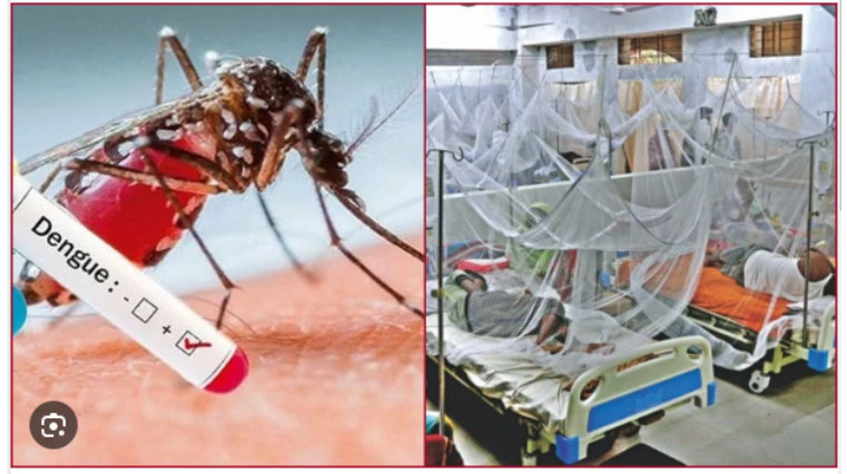 ডেঙ্গুতে একদিনে ১৪ মৃত্যু, হাসপাতালে রেকর্ড ২৬৫৩ রোগী