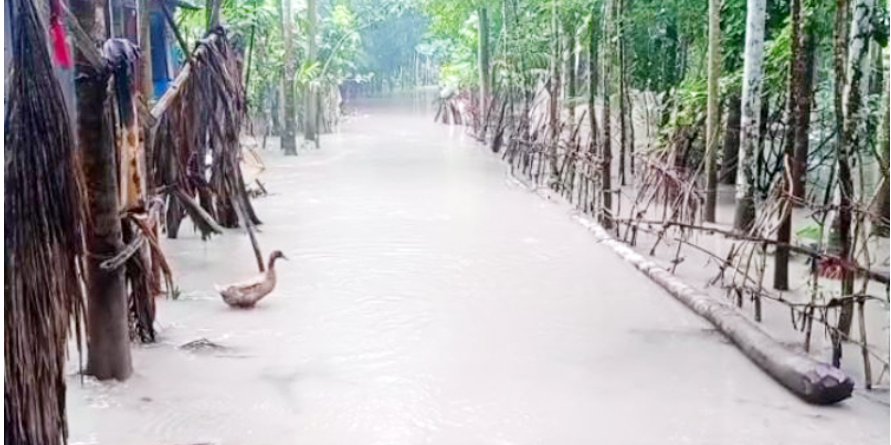 বিষখালির পানি বেড়ে কাঁঠালিয়ার সাত গ্রাম প্লাবিত