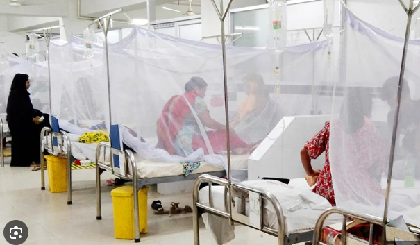 ডেঙ্গুতে ১০ জনের মৃত্যু, হাসপাতালে ভর্তি ২৫৮৯