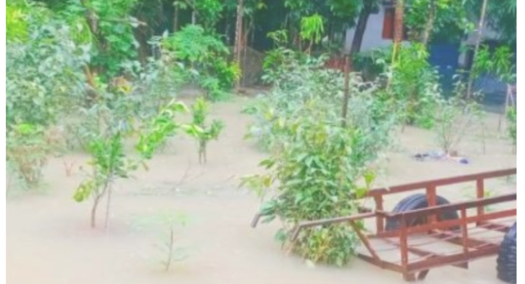 বরগুনায় নদ-নদীর পানি বিপৎসীমার ওপর, বাঁধ ভাঙার আশঙ্কা