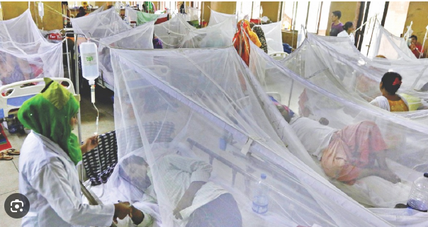 ডেঙ্গুতে ১০ জনের মৃত্যু, হাসপাতালে ২৭৬৪