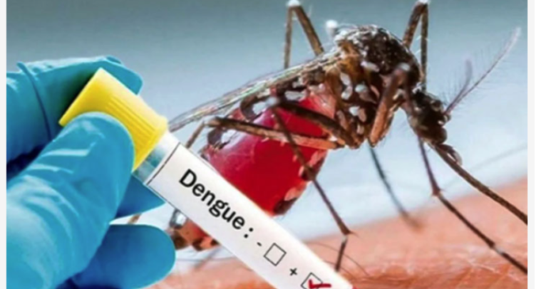 ডেঙ্গুতে বছরের সর্বোচ্চ ২৮৬৮ আক্রান্ত, ১২ মৃত্যু