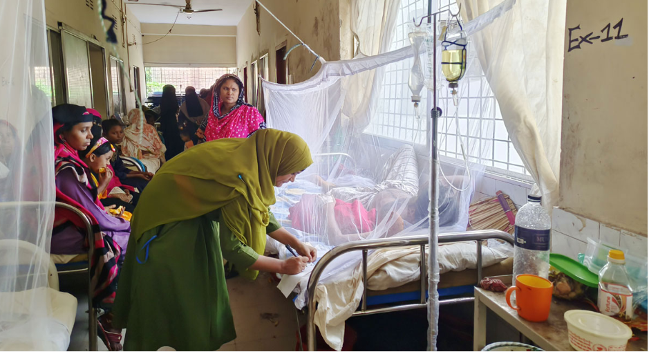 ডেঙ্গুতে ১২ জনের মৃত্যু, হাসপাতালে ভর্তি ২৯৫৯