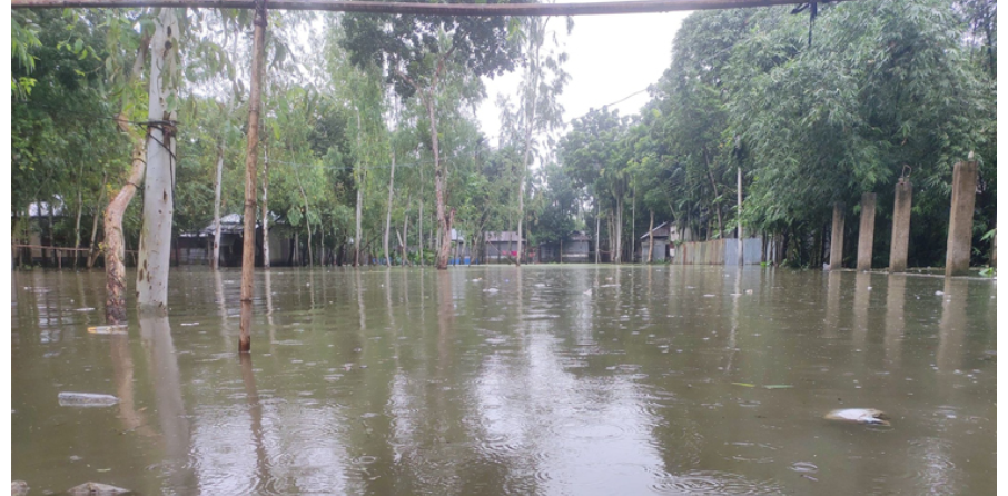 কুড়িগ্রামে তলিয়ে গেছে আমনক্ষেত, টানা বৃষ্টিতে বিপাকে মানুষ
