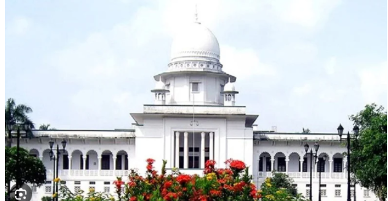 বিমানে পাইলট নিয়োগে অনিয়ম, তদন্তে হাইকোর্টের নির্দেশ