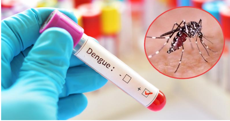ডেঙ্গুতে রেকর্ড ১৮ জনের মৃত্যু, প্রাণহানি ৪০০ ছাড়ালো