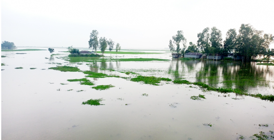 ফের বিপৎসীমার ওপরে তিস্তার পানি, নিম্নাঞ্চল প্লাবিত