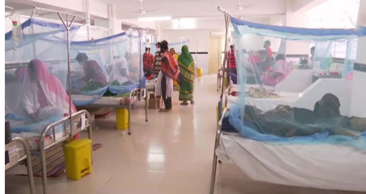 ডেঙ্গুতে ৮ জনের মৃত্যু, হাসপাতালে ২৩৩১