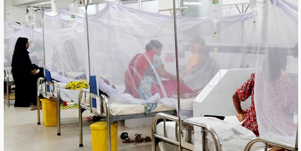 ডেঙ্গুতে আরও ১৭ জনের মৃত্যু, শনাক্ত ২৩০৮