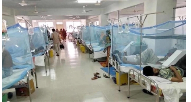 ডেঙ্গুতে আরও ১২ মৃত্যু, হাসপাতালে ভর্তি ২৮২৩