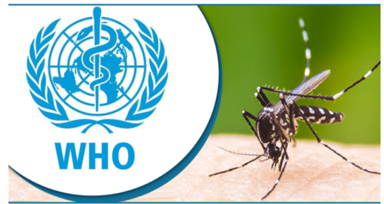 বাংলাদেশে ডেঙ্গুর ভয়াবহ প্রাদুর্ভাব বিশ্বের জন্য সতর্কবার্তা