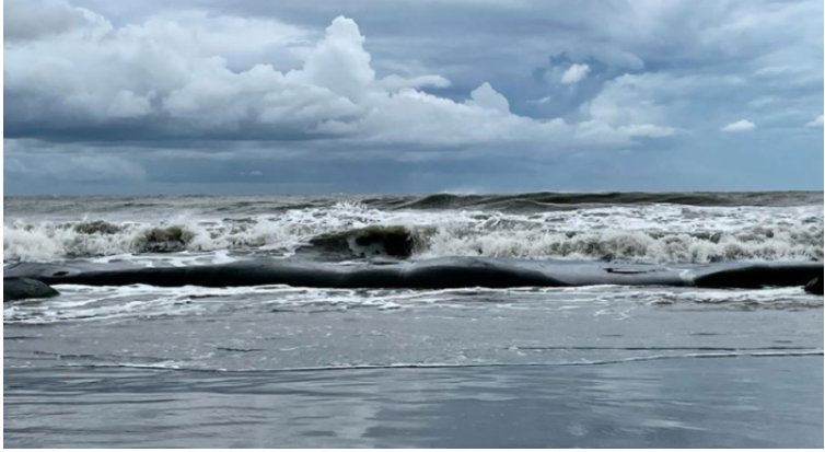 বঙ্গোপসাগরে লঘুচাপ, বাড়বে দিনের তাপমাত্রা