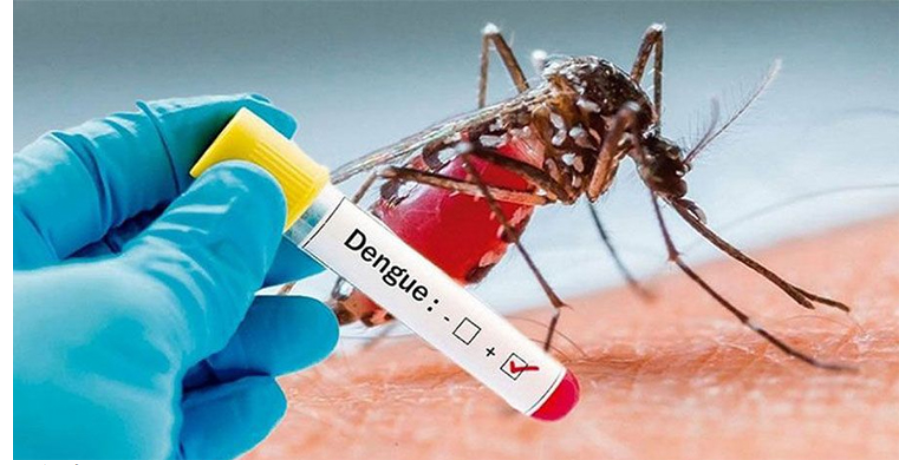 ডেঙ্গুতে ১৮ মৃত্যু, হাসপাতালে ভর্তি ৩১২২