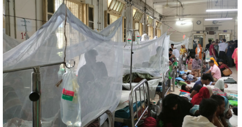 ডেঙ্গুতে ১৭ জনের মৃত্যু, হাসপাতালে ৩০৮৪