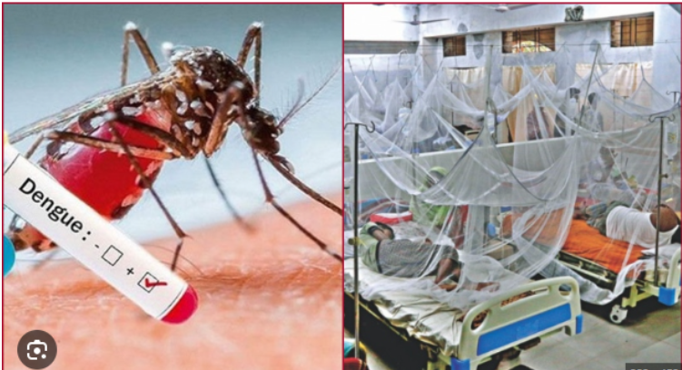 ডেঙ্গুতে একদিনে ২১ জনের মৃত্যু, হাসপাতালে ভর্তি ৩০২৭