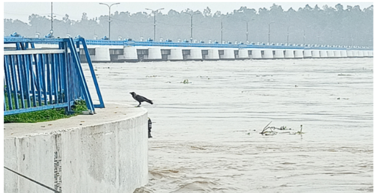 তিস্তায় বাড়ছে পানি, খুলে দেওয়া হয়েছে ৪৪ গেট