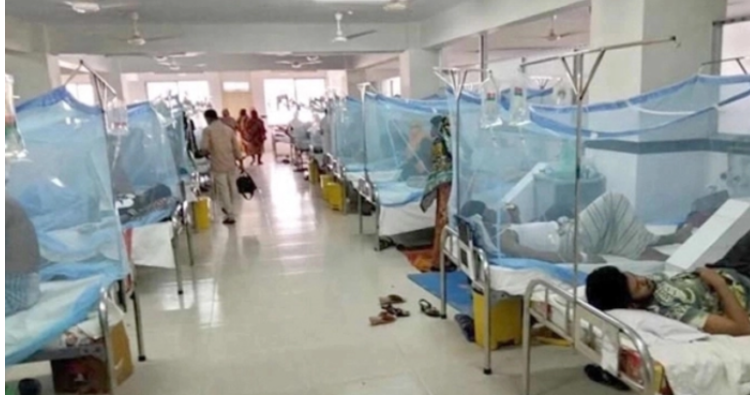 ডেঙ্গুতে ১৯ জনের মৃত্যু, হাসপাতালে ভর্তি ৩০৩৩ রোগী