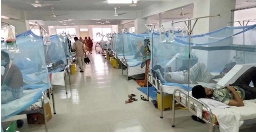 ডেঙ্গুতে আরও ১০ জনের মৃত্যু, হাসপাতালে ২৬৬০ রোগী