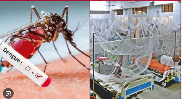 ডেঙ্গুতে আরও ৯ মৃত্যু, হাসপাতালে ২৬০৯
