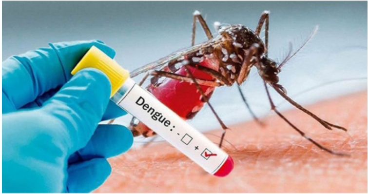 ডেঙ্গুতে ১৭ জনের মৃত্যু, হাসপাতালে ২০১৪