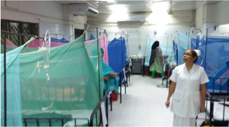 ডেঙ্গুতে ১৩ জনের মৃত্যু, হাসপাতালে ১৬৩৮