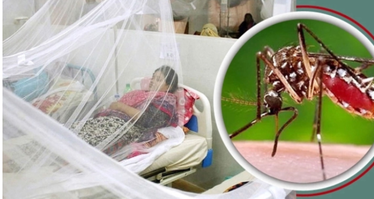 একদিনে ডেঙ্গুতে ৬ মৃত্যু, হাসপাতালে ১৫১২